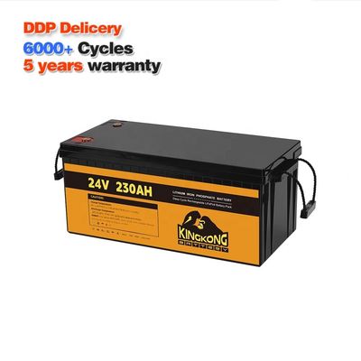 24V 50Ah 60Ah 100Ah 200Ah 230Ah 300Ah 400Ah 460Ah ijzeren lithium LifePo4 batterij met BMS