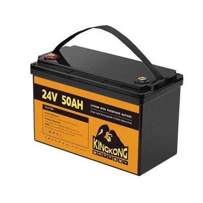 24V 50Ah 60Ah 100Ah 200Ah 230Ah 300Ah 400Ah 460Ah ijzeren lithium LifePo4 batterij met BMS