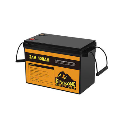 24V 50Ah 60Ah 100Ah 200Ah 230Ah 300Ah 400Ah 460Ah ijzeren lithium LifePo4 batterij met BMS