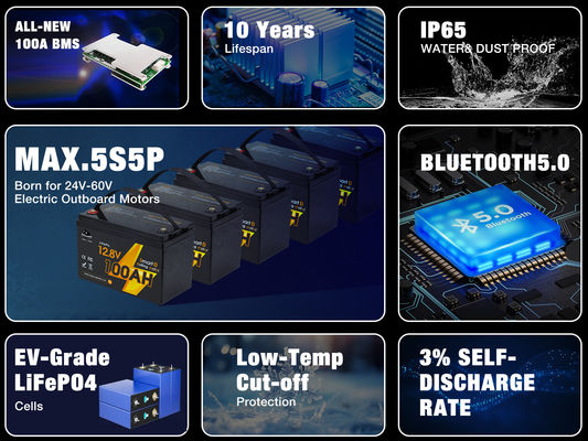 Diepe cyclus Lifepo4 lithium-ionbatterij