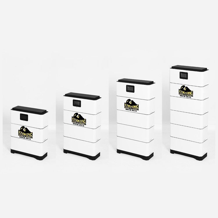 Geavanceerde 48V Lithium Ion Battery Pack 5kw 10kwh met 50/100/200Ah Capaciteit