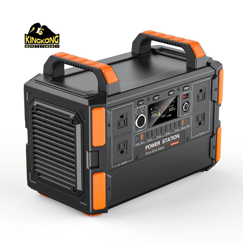 Puur sinusgolfinverter type 1048WH Draagbare elektriciteitscentrale voor noodgevallen en buiten