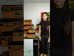 12V 48V 120Ah 150Ah 170Ah 200Ah 300Ah LiFePO4 Lithium Ion Battery Pack Voor onderzeeërs