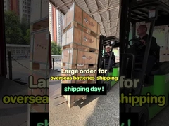 De zonnecellen zijn van Guangzhou naar onze agent gestuurd.