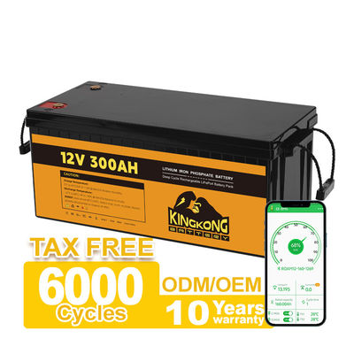 12V 48V 120Ah 150Ah 170Ah 200Ah 300Ah LiFePO4 Lithium Ion Battery Pack Voor onderzeeërs