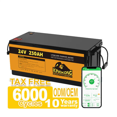 OEM 24V 100AH 200AH 230AH 12V Li-ion batterij voor zonne-systeem RV elektrische motorboot