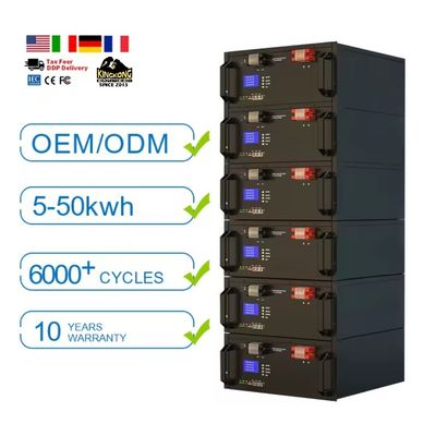 Cyclusduur 6000 Times 51.2V 300ah 100Ah Lifepo4 Lithium Ion Batterijen voor zonne-energie