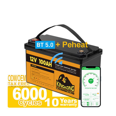 110/120/220/230V Uitgangsspanning 12,8V 100Ah 200Ah 300Ah LFP Lithium Ion Battery Pack