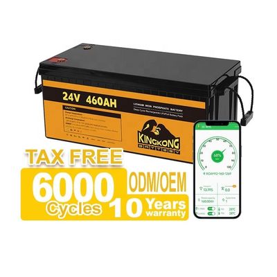 24V 50Ah 60Ah 100Ah 200Ah 230Ah 300Ah 400Ah 460Ah ijzeren lithium LifePo4 batterij met BMS