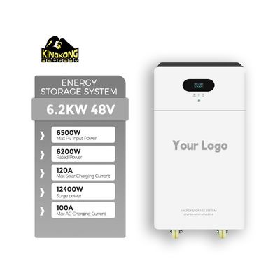 3.6KW Dual Output Monocrystalline Silicon Solar Inverter met 24V 100Ah Lithiumbatterij