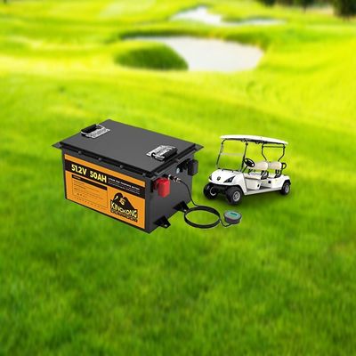 51.2V 105Ah Golfkarretjes Batterij Auto Lifepo4 Oplaadbare Pack met OEM/ODM Service